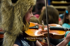 Hat-violin_DSC3151-sw-dba