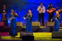 Mariachi-Cascabel_DSC9333-sw-dba